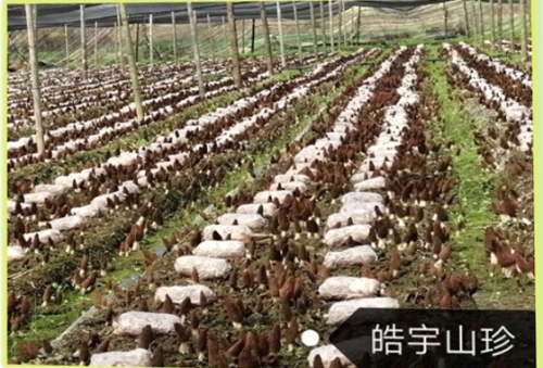 &#24320;&#20803;&#32593;&#31449;&#30331;&#24405;&#20837;&#21475;&#95;&#24320;&#20803;&#65288;&#20013;&#22269;&#65289;